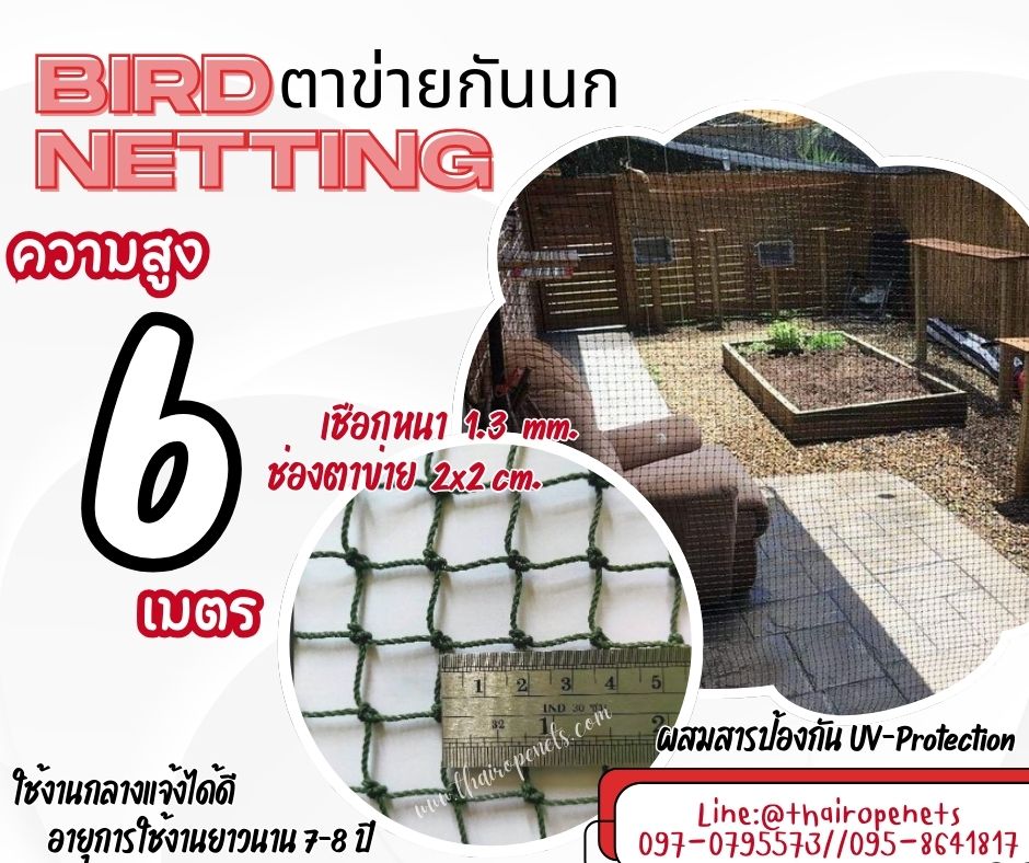 ตาข่ายกันนกเข้าแปลงผัก bird netting ความสูง 6 เมตร สีเขียวขี้ม้า รุ่นหนา 1.3 มิล ช่องตา 2x2 cm.กดเลือกความยาวตามต้องการได้เลยค่ะ