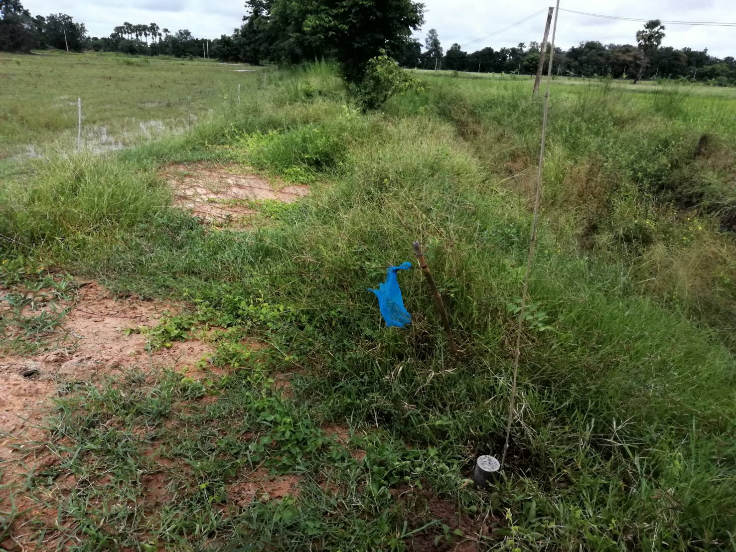 ขายที่ดิน ต.ท่าโพ อ.หนองขาหย่าง จ.อุทัยธานี มีเนื้อที่ทั้งหมด 3 แปลง ขายไร่ล่ะ 200,000 บาท