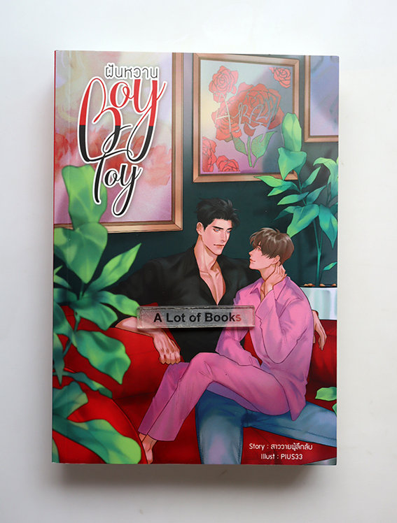 Boy Toy ฝันหวาน