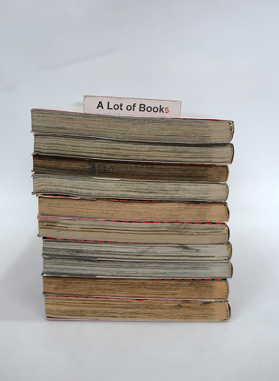 RideBack ไรด์แบ็ค ( 10 เล่มจบ )