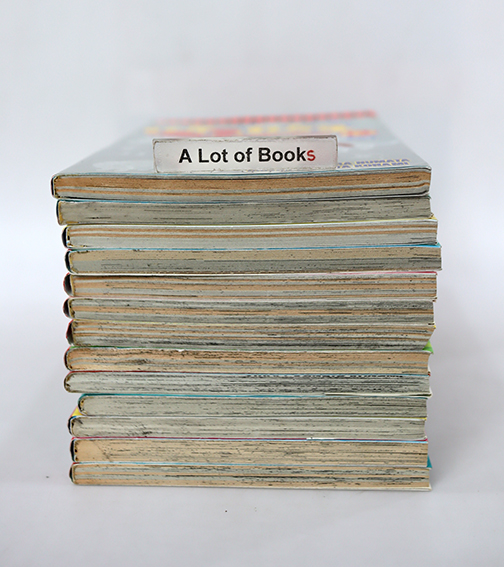 แง้วแง้ว แมวอย่างเดียวไม่เกี่ยวกับคน ( 13 เล่มจบ )