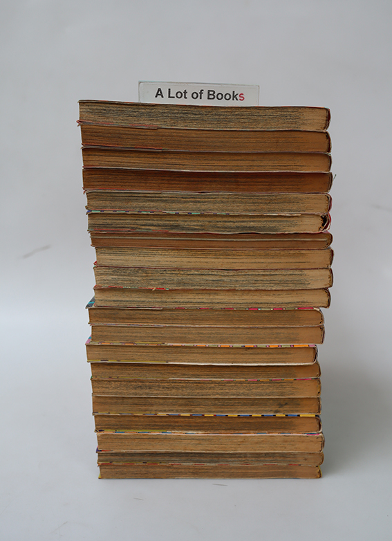 จอมคนทาเครุ ( 20 เล่มจบ )