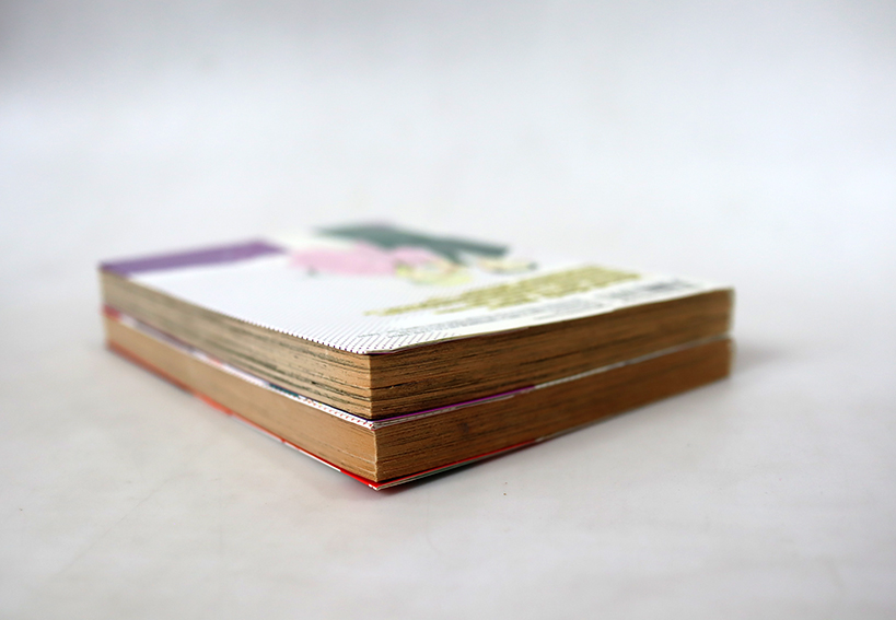 Happy boys แฮปปี้บอยส์ ( 2 เล่มจบ )