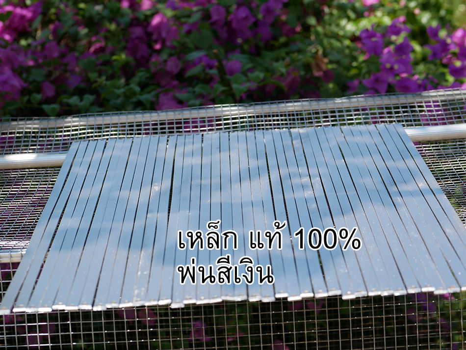 ชุดไล่ ออกกำลังปลากัด