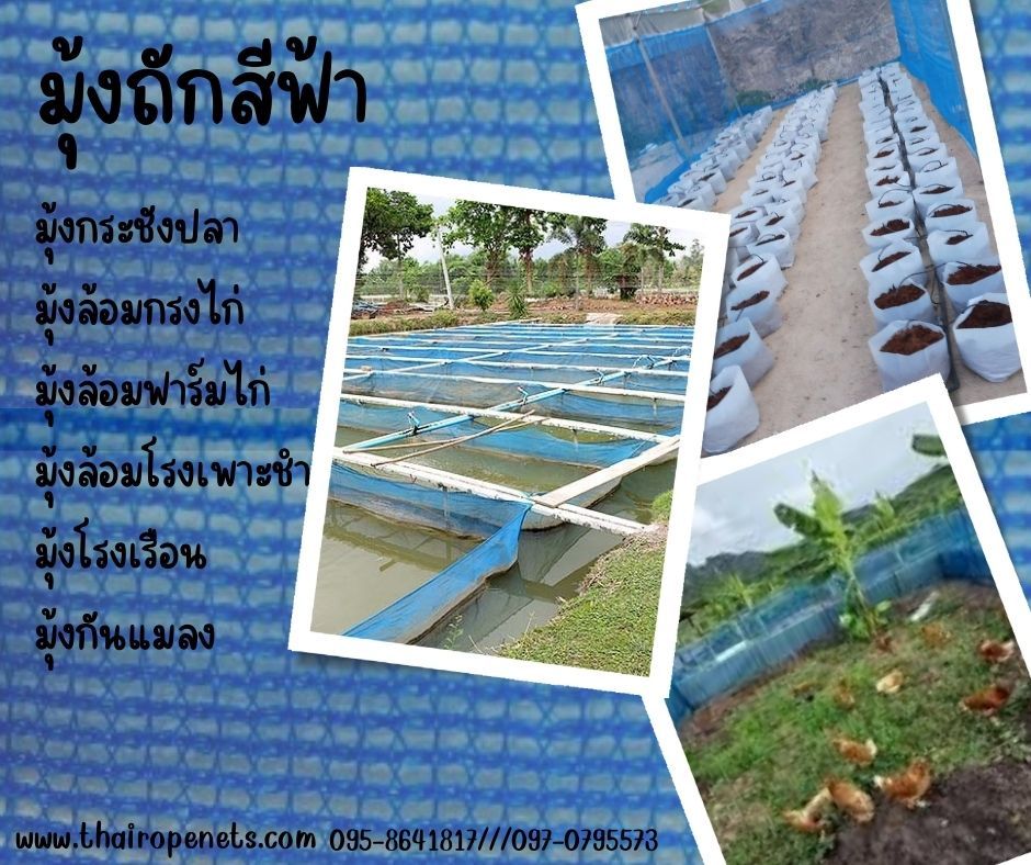 มุ้งถักโรงเรือน มุ้งถักกระชังปลา เลี้ยงปลา เลี้ยงกุ้ง มุ้งล้อมกรงไก่ มุ้งล้อมฟาร์ม มุ้งกันแมลง มุ้งเลี้ยงสัตว์