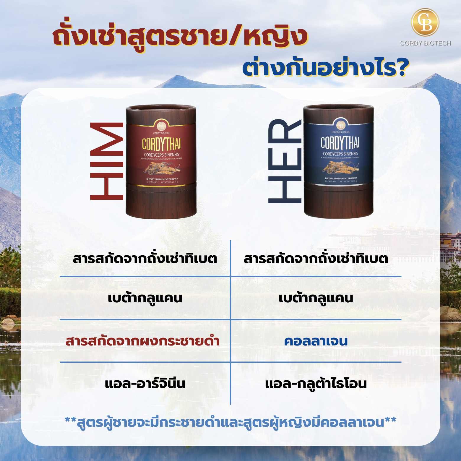 Promotion (4กป. 5,400.-) Cordythai(60) Him4