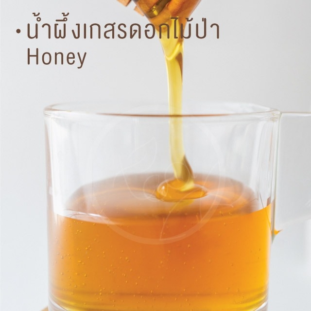 น้ำผึ้งแกลอน 4 กิโลกรัม น้ำผึ้งเกสรดอกไม้ป่า น้ำผึ้ง แท้ เดือนห้า Honey น้ำผึ้งป่า เครื่องดื่ม ตรา ทีอีเอ