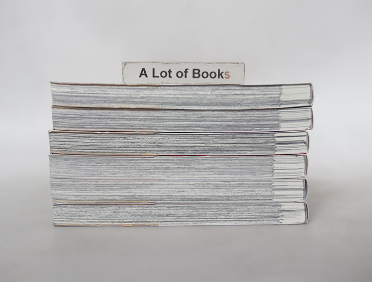 บาปพิศวงแห่งตระกูลอิจิโนเสะ ( 6 เล่มจบ )