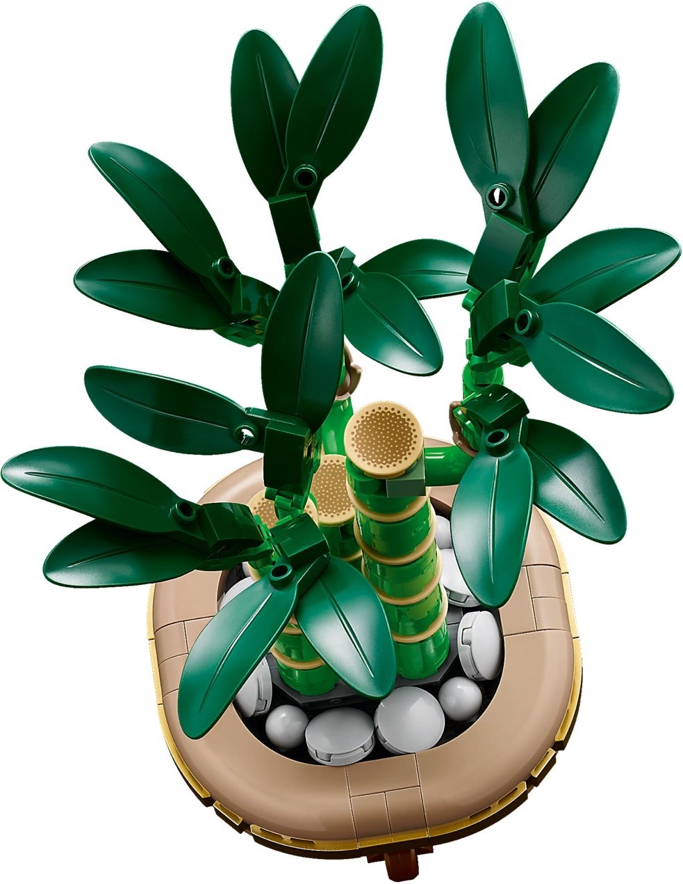 LEGO Botanical เลโก้ 10344 Lucky Bamboo