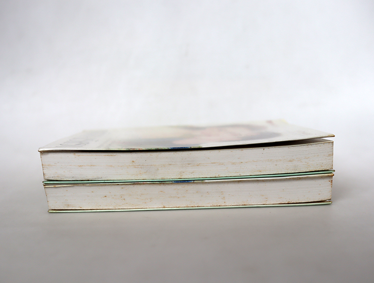 ภูชิชย์ นริศรา ( 2 เล่มจบ )