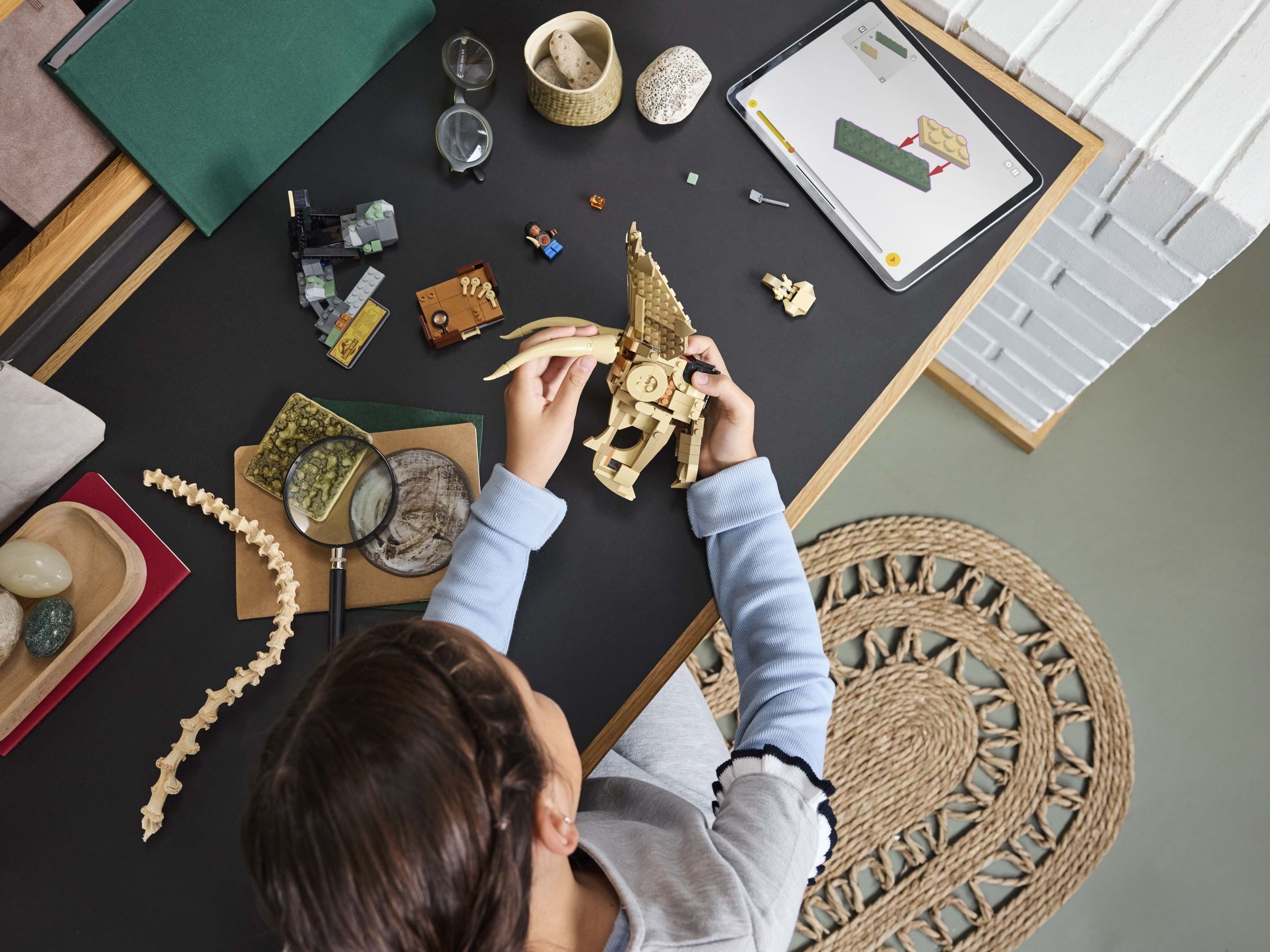 LEGO JURASSIC WORLD เลโก้ 76969 Dinosaur Fossils: Triceratops Skull