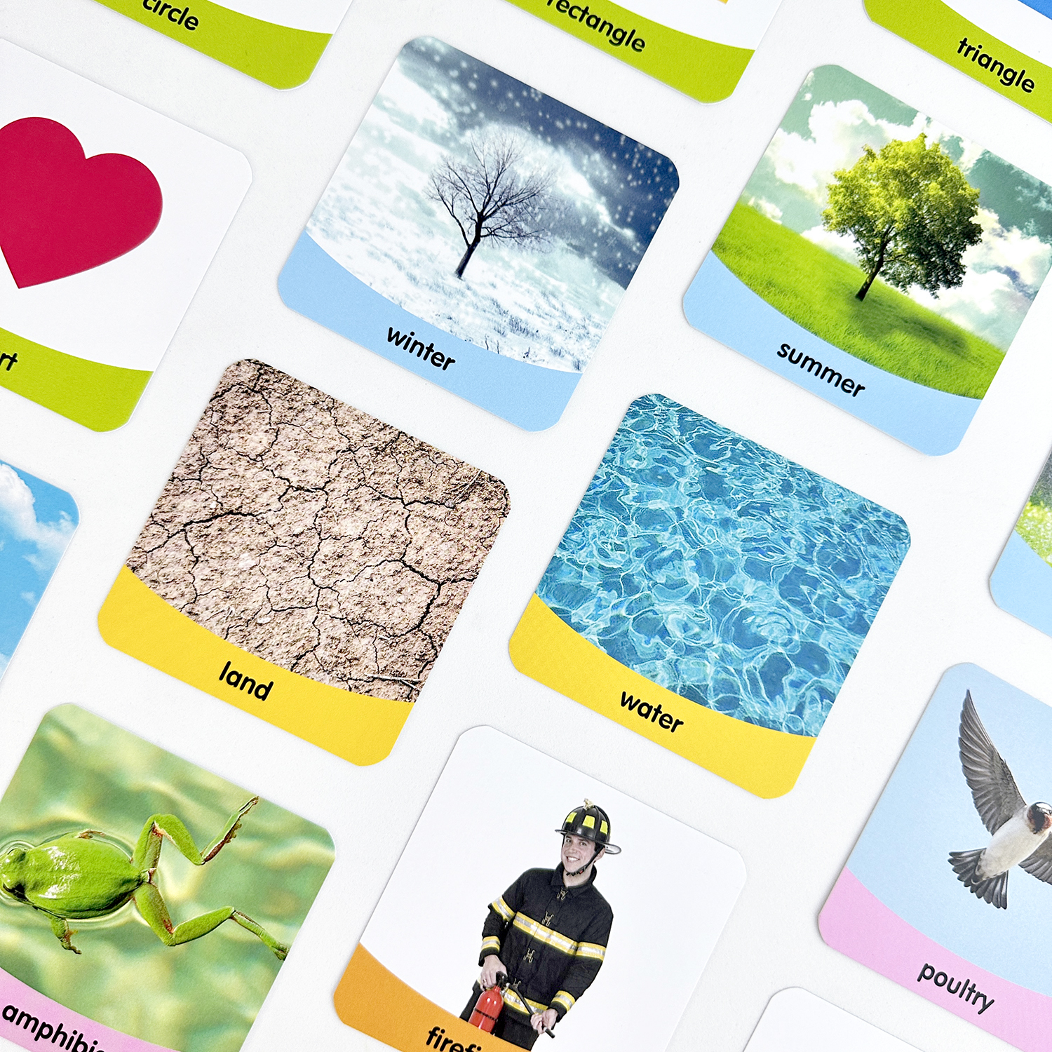 การ์ดเกมมายแมพ (Mind map) 0.6