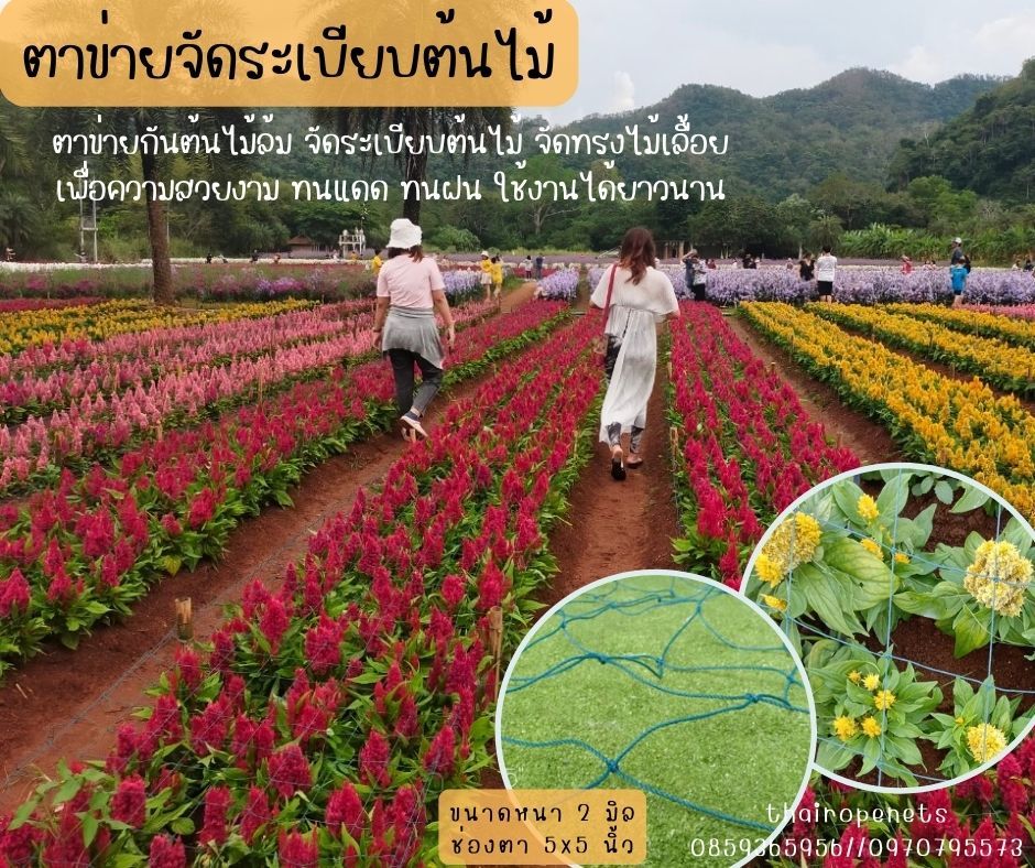 ตาข่ายเชือกไนล่อน ตาข่ายแปลงดอกไม้ ตาข่ายจัดระเบียบต้นไม้ ตาข่ายจัดระเบียบสวน ตาข่ายป้องกันสารยูวี ทนแดด ทนฝนได้ดี