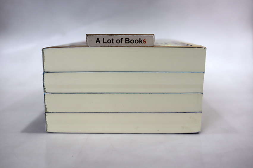 ขลุ่ยครองฟ้า ( 4 เล่มจบ )