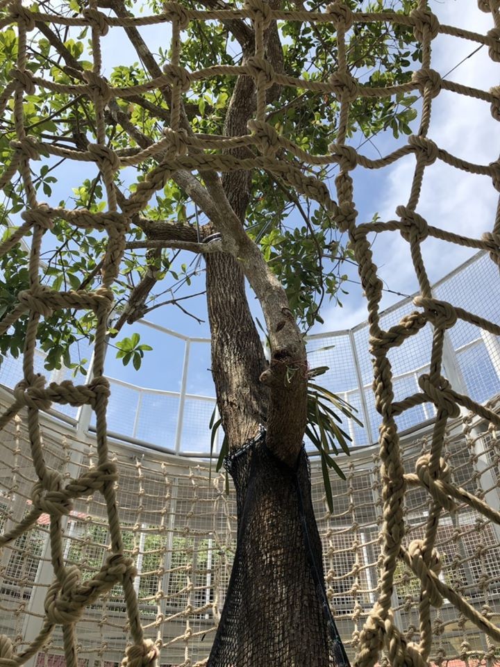 ตาข่ายเชือกใยยักษ์ ขนาด 14 mm. ช่องตา 15 x 15 cm. (ผลิตได้ทุกขนาด)