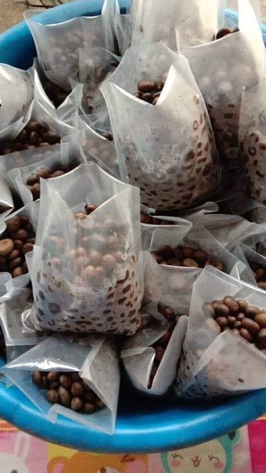 เห็ดเผาะ