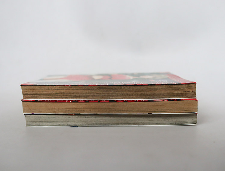 Najica Project นาจิกะ ปฏิบัติการสายฟ้าฟาด ( 3 เล่มจบ )