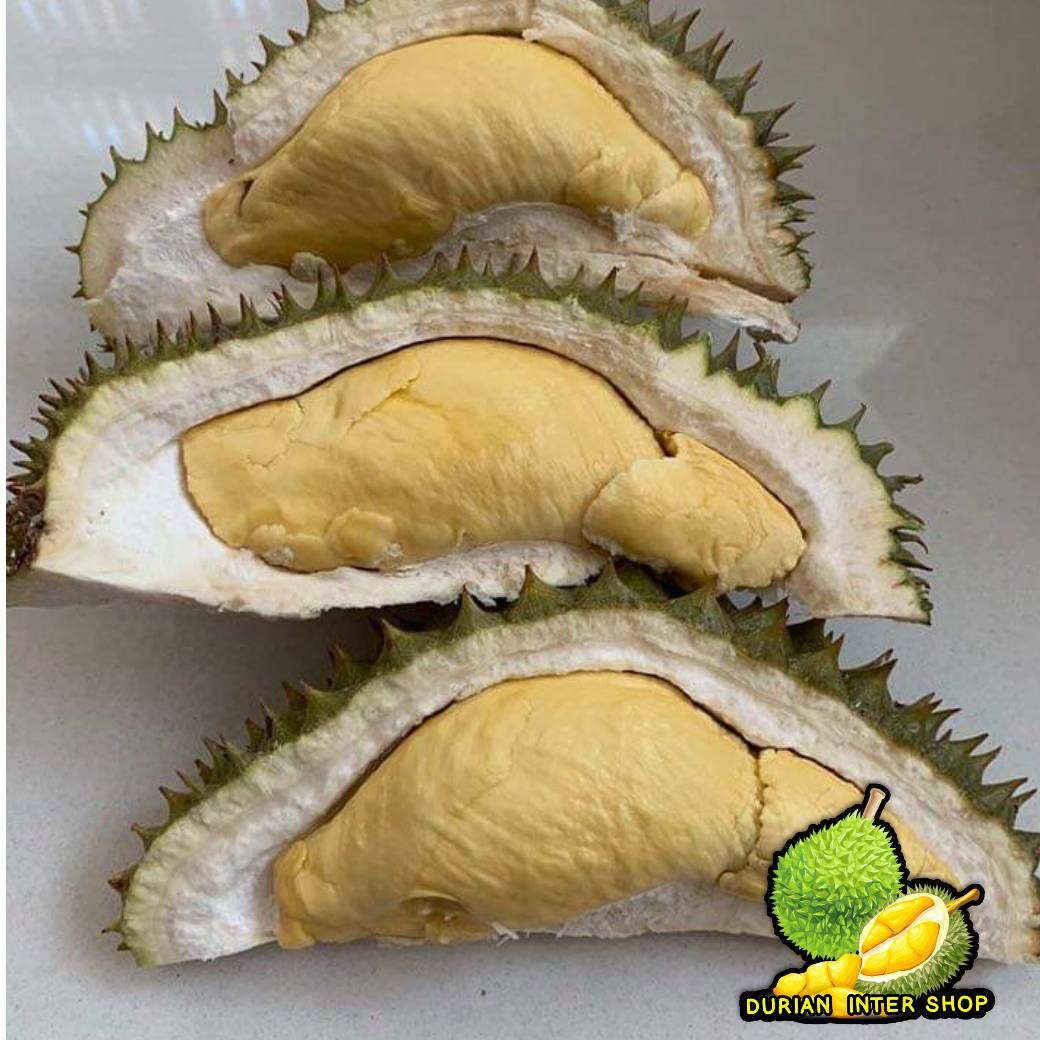 ทุเรียนหลงลับแล