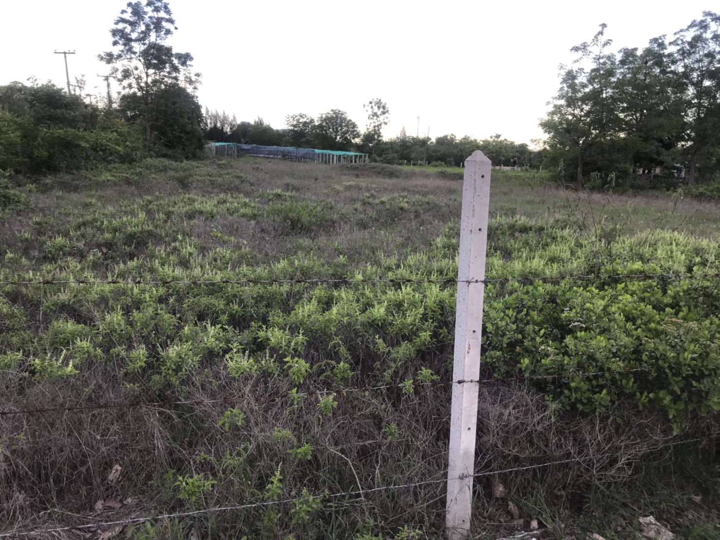 ขายด่วน!!!ที่ดินเปล่า 2 ไร่ โครงการ เค.วี.แลนด์