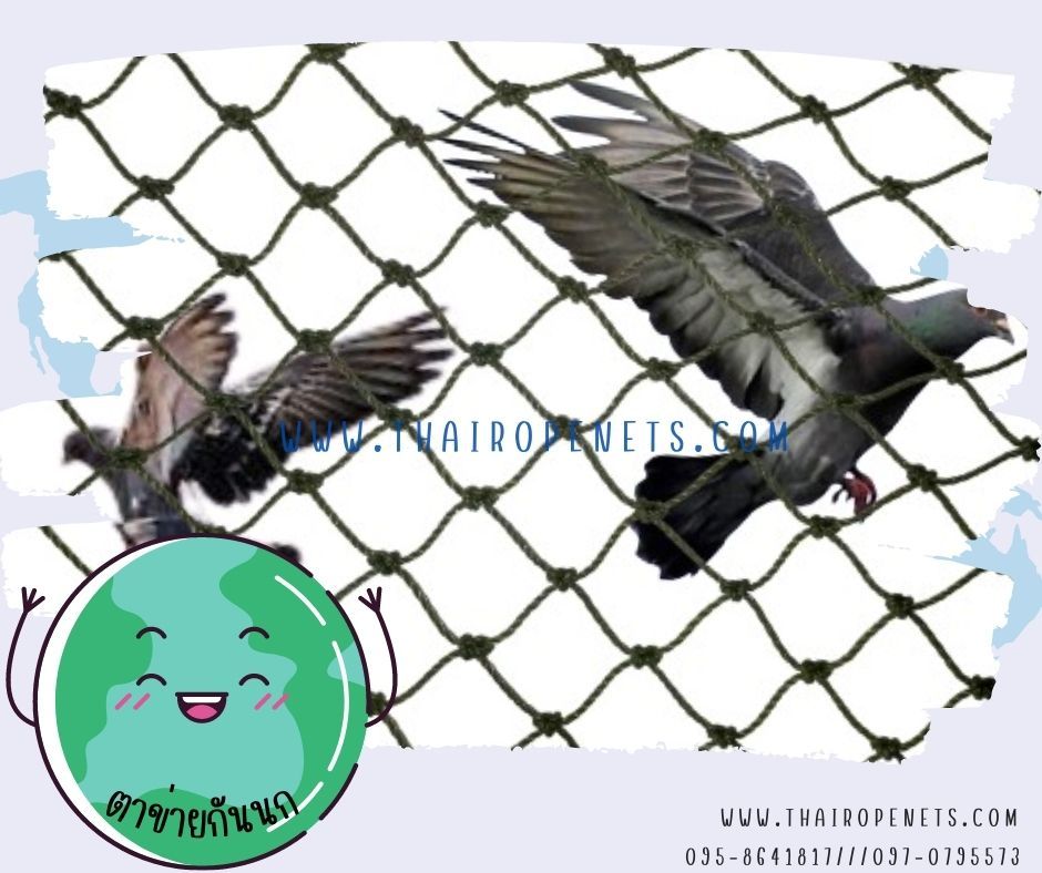 ตาข่ายดักนก สีดำ bird netting ความสูง 6 เมตร รุ่นเชือกหนา 1.5 มิล ช่องตา 2 cm. ผสมสารป้องกัน UV