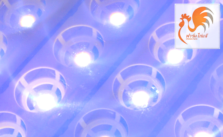 เครื่องฟักไข่ 56 ฟอง รุ่น CF-56X ระบบอัตโนมัติ มีไฟ LED ส่องเชื้อไข่ในตัว