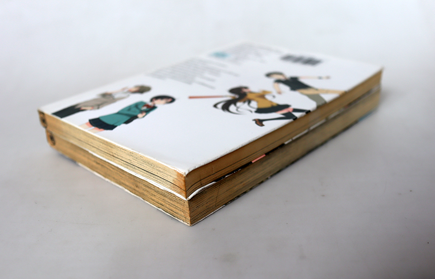 สาวพลิกฝันศึกวันฟ้าใส ( 2 เล่มจบ )