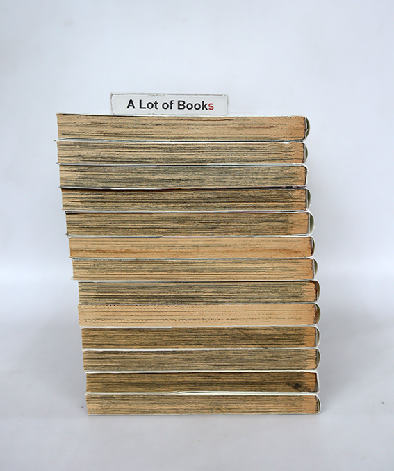 Gurame สูตรลับจับหัวใจ (13 เล่มจบ )