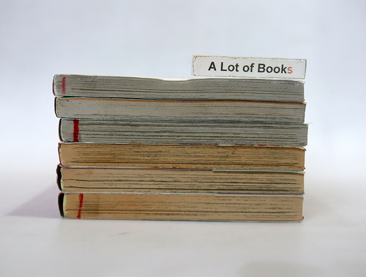 สึโบมิจัง ลืมอะไรรึเปล่าจ๊ะ ( 6 เล่มจบ )