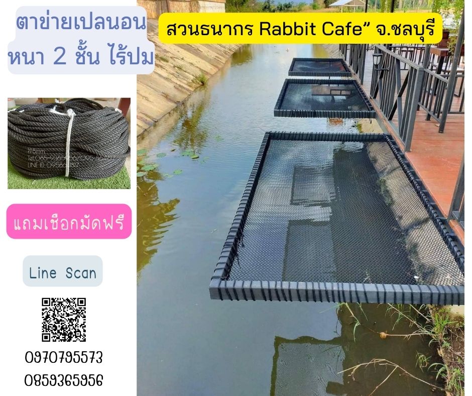 รีวิวตาข่ายเปลนอน ไร้ปม ตาข่ายเปลนอนตามร้านอาหาร คาเฟ่ ตาข่ายนั่งเล่นตามร้านกาแฟ