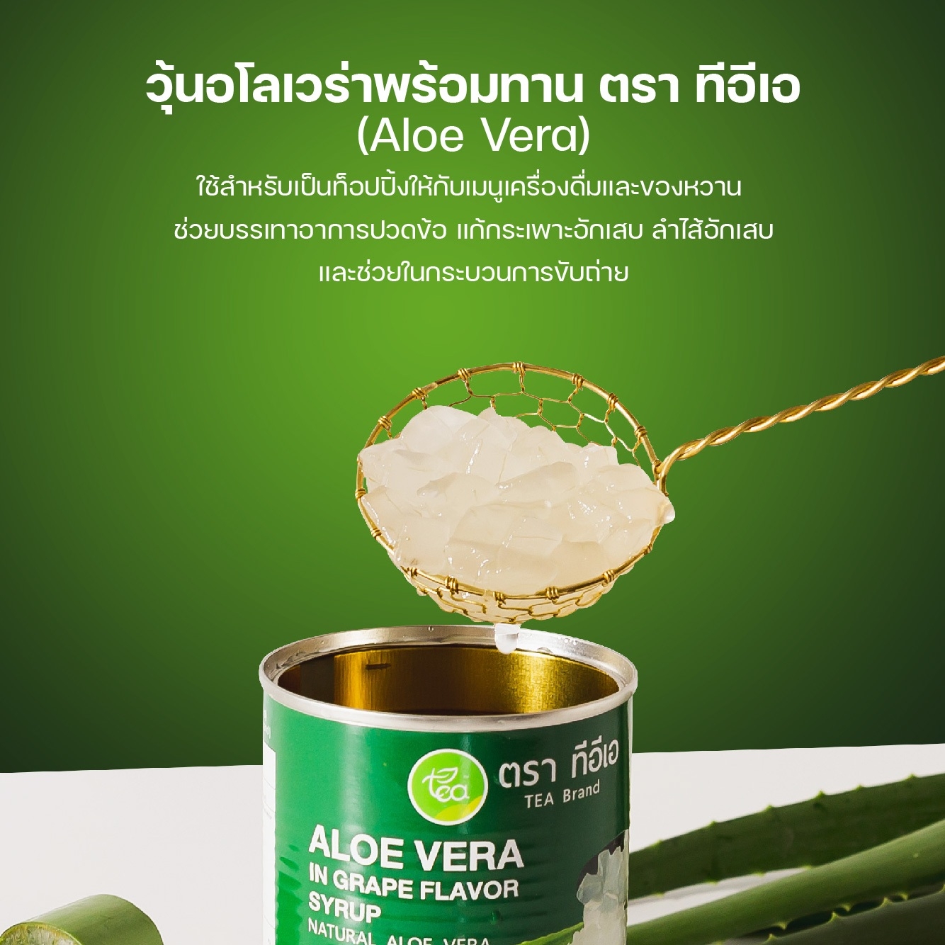 วุ้นอโลเวร่า Aloe Vera วุ้นท็อปปิ้ง วุ้นว่านหาง วุ้นหั่นเต๋า วุ้นพร้อมทาน 560 กรัม เนื้อว่านหาง วุ้นในน้ำเชื่อม วุ้นท็อปปิ้ง วุ้นเครื่องดื่ม