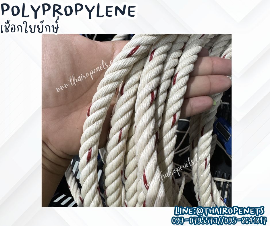 เชือกจูงสัตว์ ลากวัว ลากควาย เชือกใยยักษ์ ขนาด 12 mm. เชือกมัดของ เชือกที่แข็งแรงและทนแรงดึงมากที่สุด พร้อมส่ง