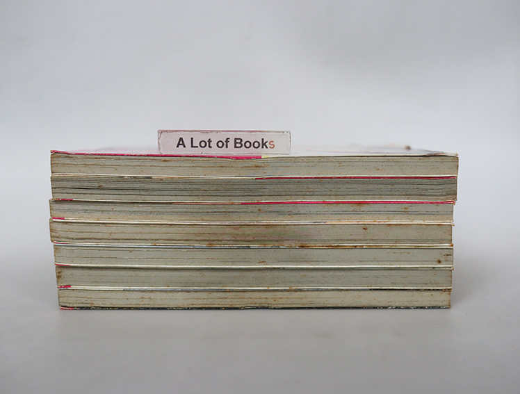 Boys เอสเต้ ( 7 เล่มจบ )