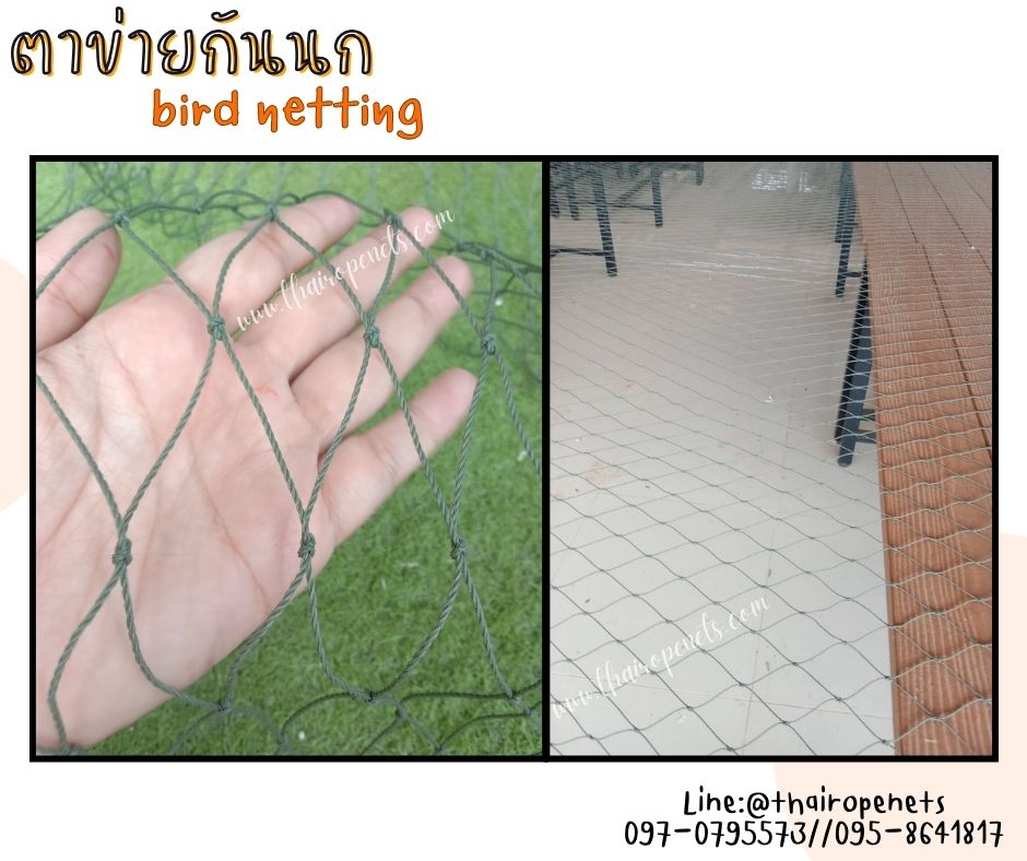 ตาข่ายกันนกเข้าโรงงาน bird netting สีเขียวขี้ม้า ความสูง 5 เมตร รุ่น 1.5 มิล ช่องตา 2x2 นิ้ว กดเลือกความยาวตามต้องการได้เลย