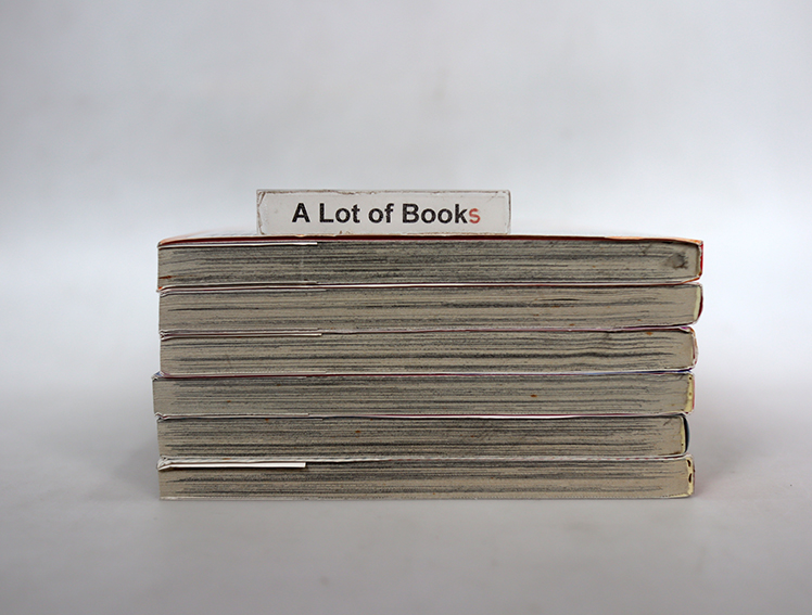 พรหมลิขิตพลิกรัก ( 6 เล่มจบ )