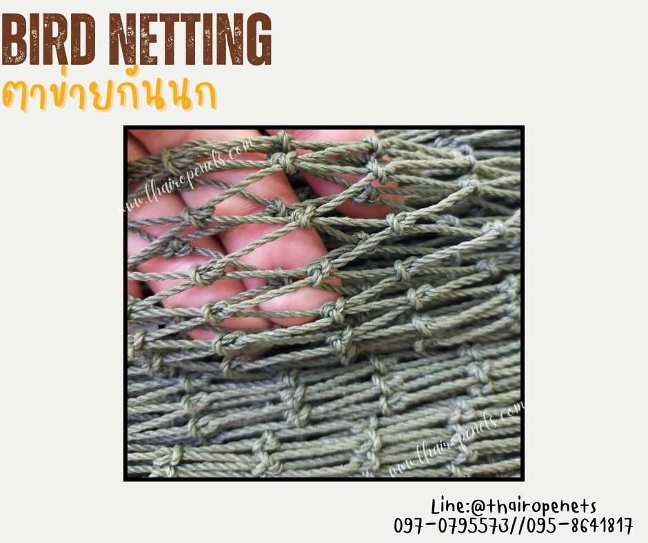 ตาข่ายล้อมรั้วกันสัตว์ bird netting ความสูง 4 เมตร สีเขียวขี้ม้า รุ่นหนา 1.3 มิล ช่องตา 1.5x1.5 cm. กดเลือกความยาวตามต้องการได้เลย