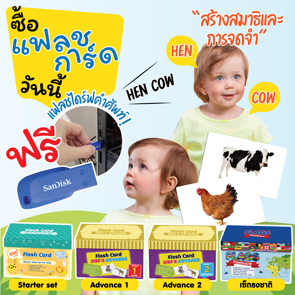 แฟลชการ์ด แถม USB (Boxset)