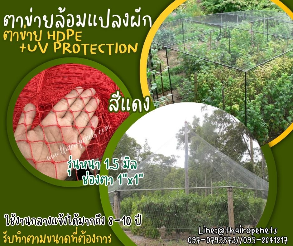 ตาข่ายกั้นเขตรั้วแปลงผัก สีแดง ตาข่าย HDPE รุ่นหนา 1.5 มิล ช่องตา 1x1 นิ้ว เคลือบสารป้องกัน UV ทนแดด ทนฝน มีความหนาแน่นสูง ทนต่อแรงดึง