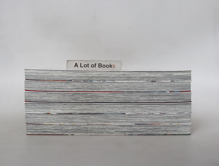 บาปพิศวงแห่งตระกูลอิจิโนเสะ ( 6 เล่มจบ )