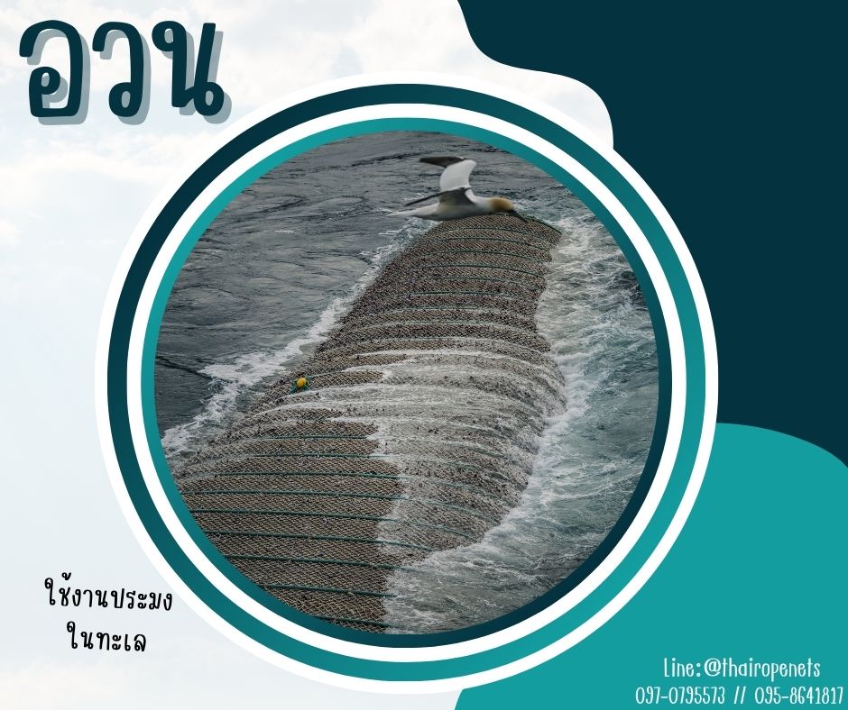 อวนประมง fishing net ผืนใหญ่ 8x25 m. จับปลาในทะเล ในแม่น้ำ อวนล้อมฟาร์ม งานเกษตร ดางล้อมกรงไก่ ผสมสารป้องกัน UVอายุการใช้งานมากกว่า10 ปี