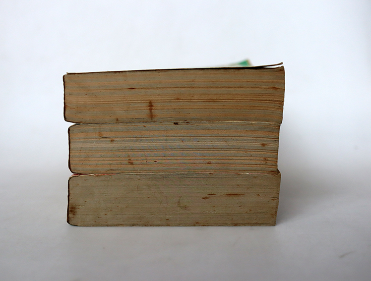 ขุมทรัพย์สุดขอบฟ้า ( 3 เล่มจบ )