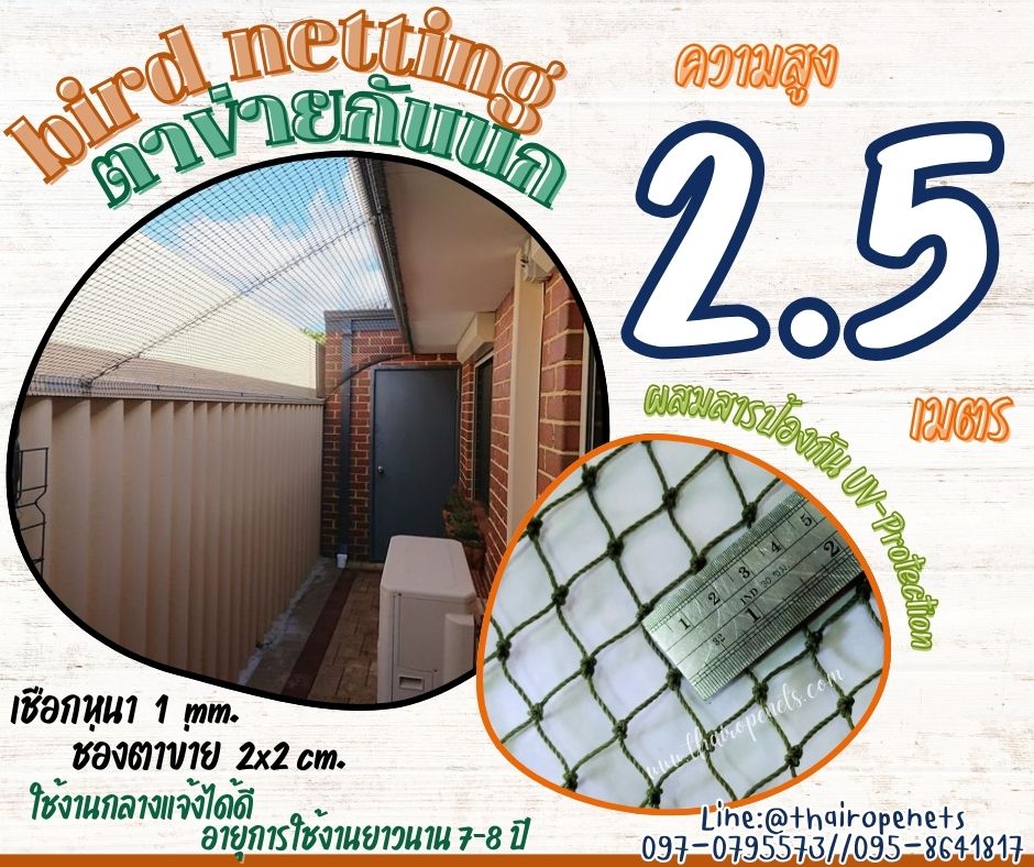ตาข่ายดักนก bird netting สีเขียวขี้ม้า ความสูง 2.5 เมตร รุ่นหนา 1 มิล ช่องตา 2x2 cm. กดเลือกความยาวตามต้องการได้เลยค่ะ