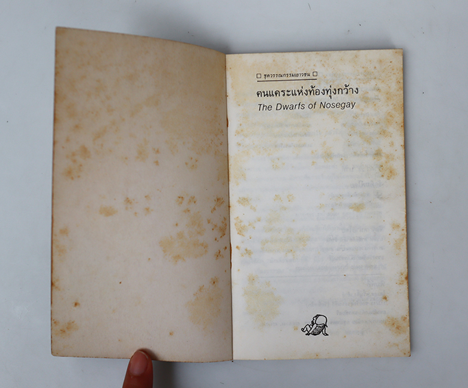 คนแคระแห่งท้องทุ่งกว้าง