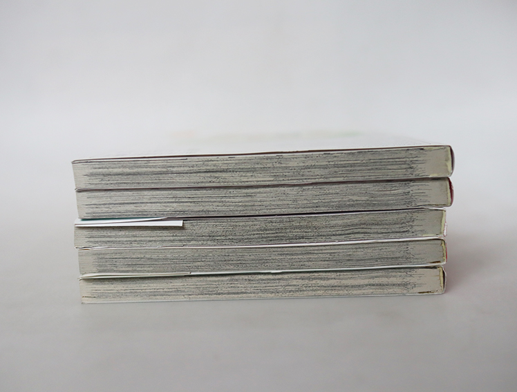 อาจารย์คนใหม่กับรักใส ๆ ของยัยโก๊ะ ( 5 เล่มจบ )