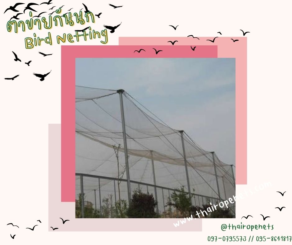 พร้อมส่ง ตาข่ายกันนก bird netting กั้นช่องลม กันนกเข้าอาคาร ป้องกันสัตย์ ผสมสารป้องกันUV ทนทานใช้งานได้ยาวนาน