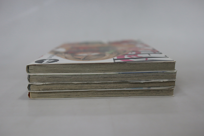 Warasibe ยัยตัวร้ายกับนายฟาง ( 4 เล่มจบ )