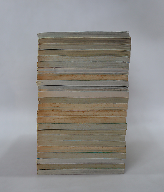 โดเรมอน ชุดพิเศษ ( 24 เล่มจบ )