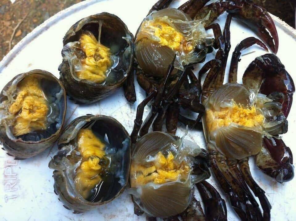 อ่องมันปู อ่องปู