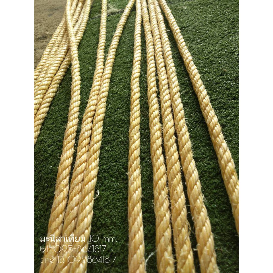 เชือกมะนิลาเทียม 10 mm. เชือกพันต้นไม้⚡️ความยาว 200 เมตร ⭐ทนทาน ไม่ขึ้นรา พร้อมส่ง