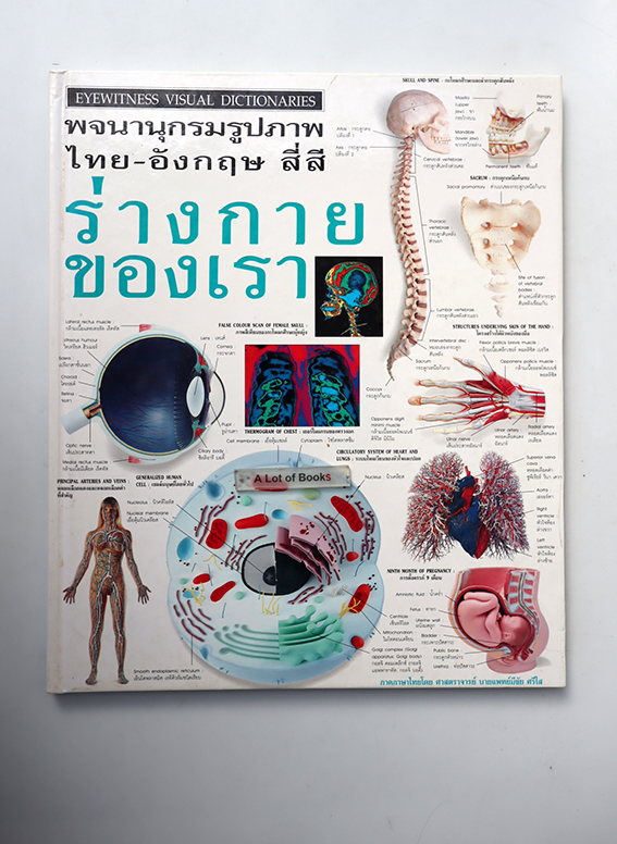 พจนานุกรมรูปภาพ ร่างกายของเรา