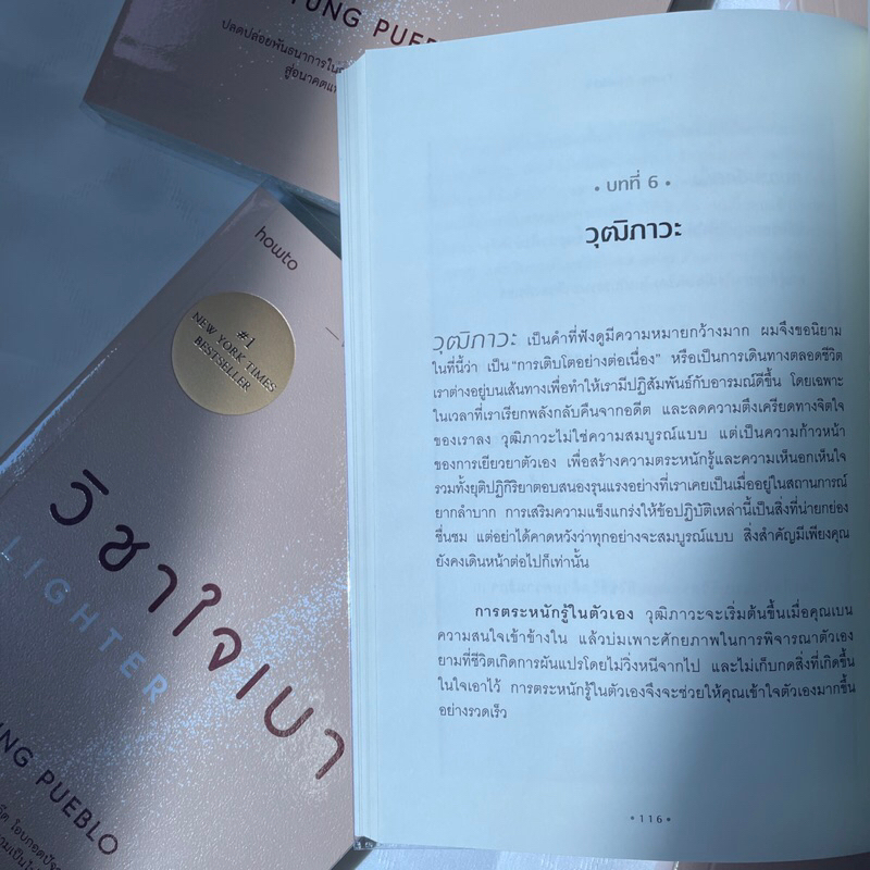 วิชาใจเบา Lighter /ผู้เขียน: yung pueblo/สำนักพิมพ์: howto(อมรินทร์)